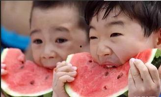 吃瓜要感谢,揭秘幕后故事与幕后英雄 第3张 吃瓜要感谢,揭秘幕后故事与幕后英雄 第3张